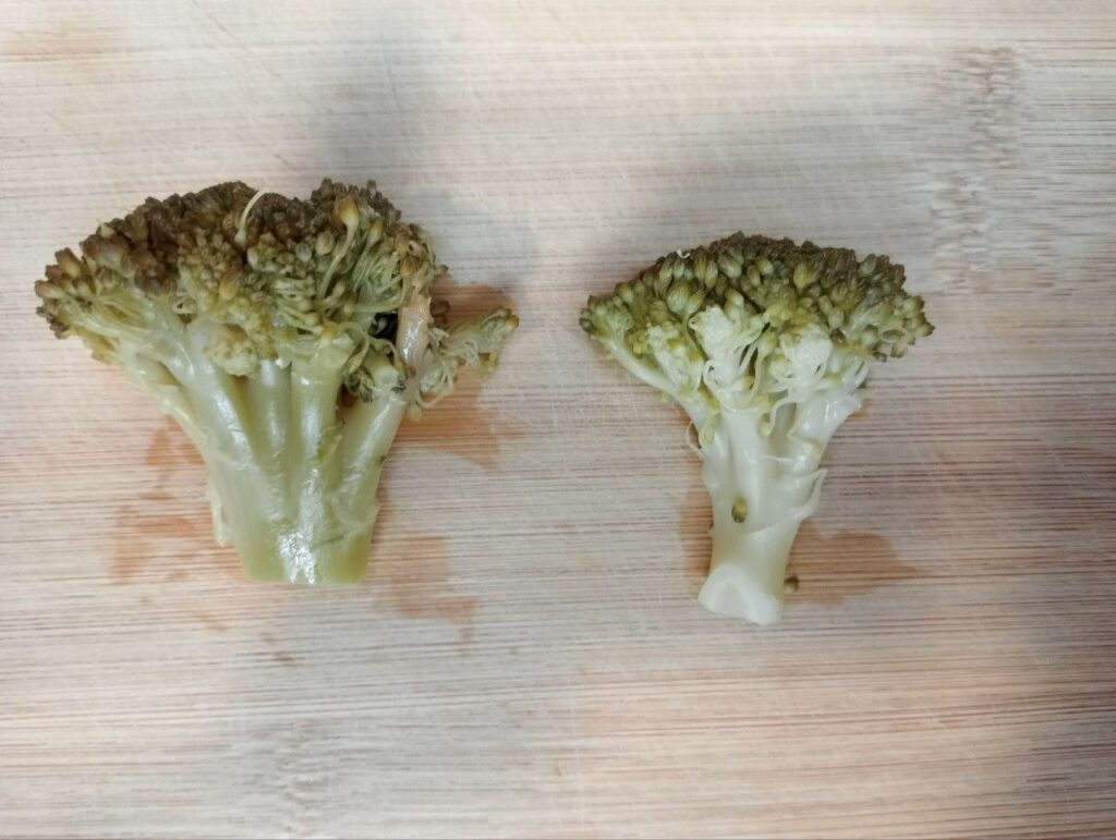 Broccoli-big-florets