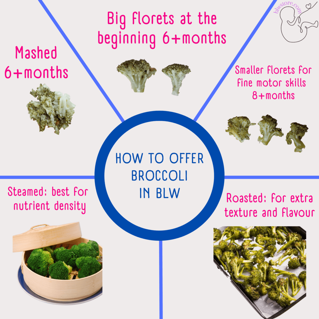 How-to-offer-broccoli-in-BLW