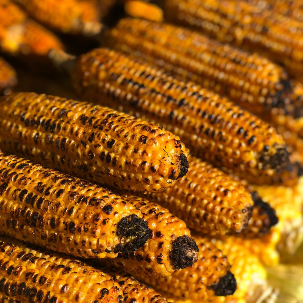 Roasting-Corn