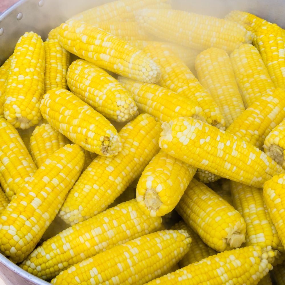 Steaming-Corn