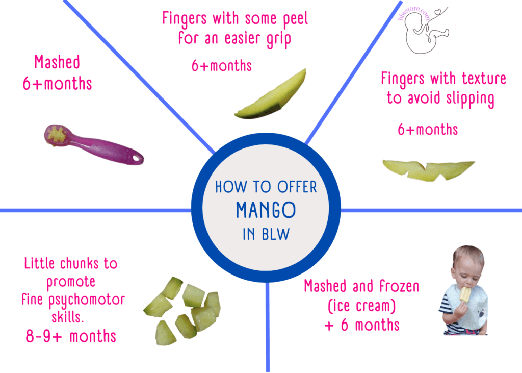 How-to-offer-MANGO-in-BLW-discovery