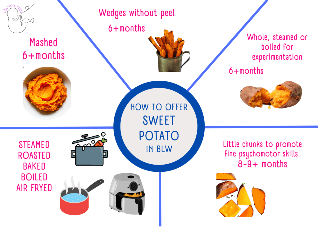 How-to-offer-Sweet-potato-in-BLW-discovery
