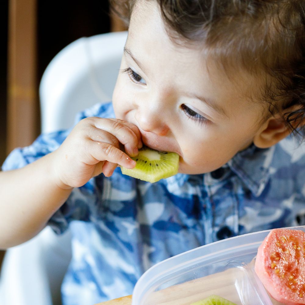 Baby-eating-kiwi