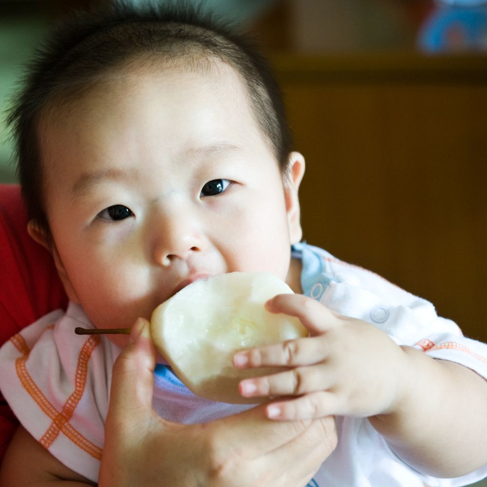 Baby-eating-pear