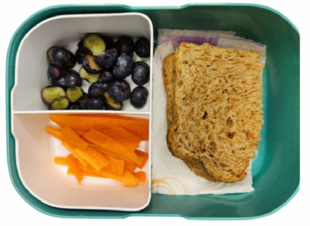 Sliced-carrot-blueberries-and-whole-wheat-peanut-butter-sandwich