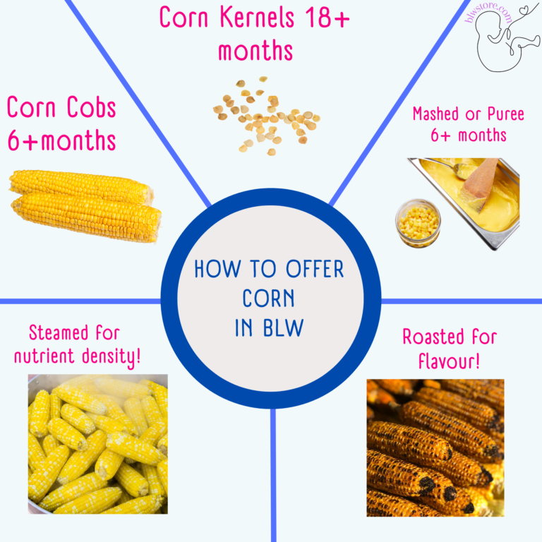 Baby-Led-Weaning-Corn-on-the-Cob-Guide
