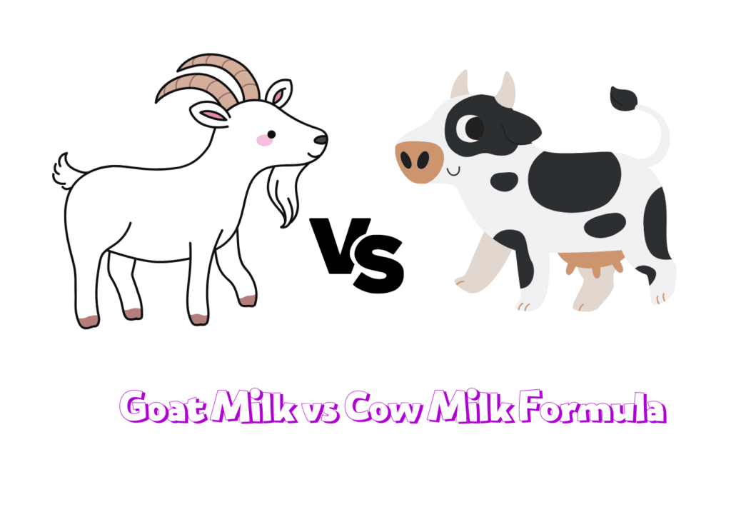 Goat Milk vs Cow Milk Formula Which One Is Better For Your Baby?