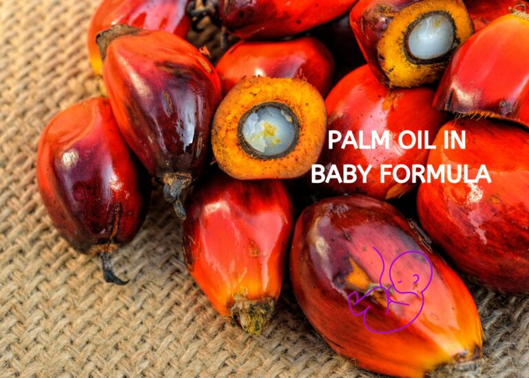 Palm-Oil-in-Baby-Formula