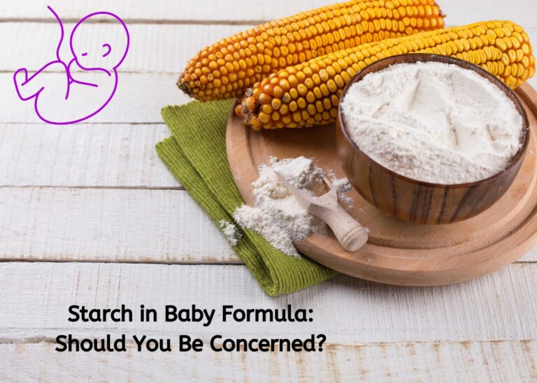 Starch-in-infant-formula