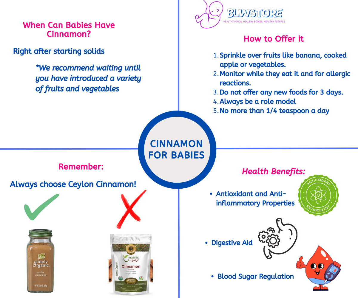 How to Offer Cinnamon to Babies