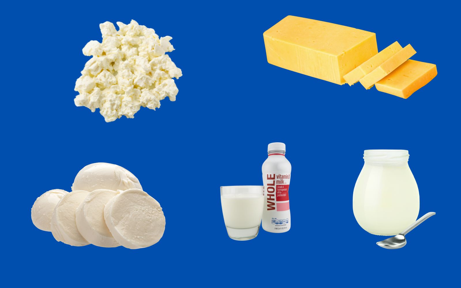 Examples of dairy fats