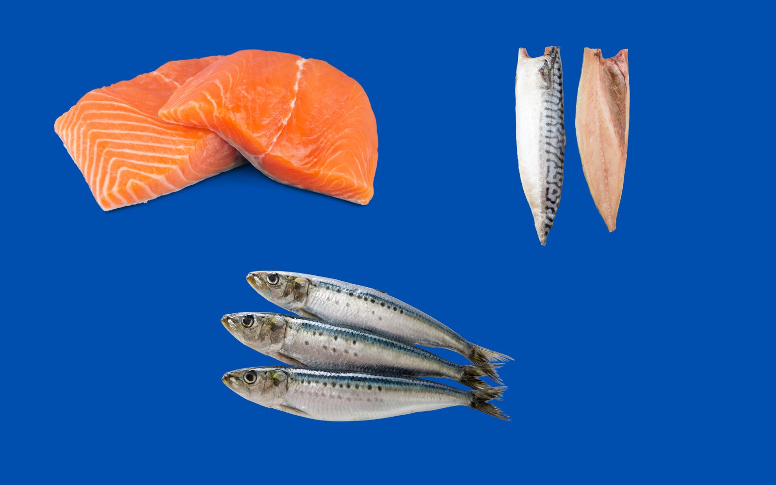 Examples of fatty fish