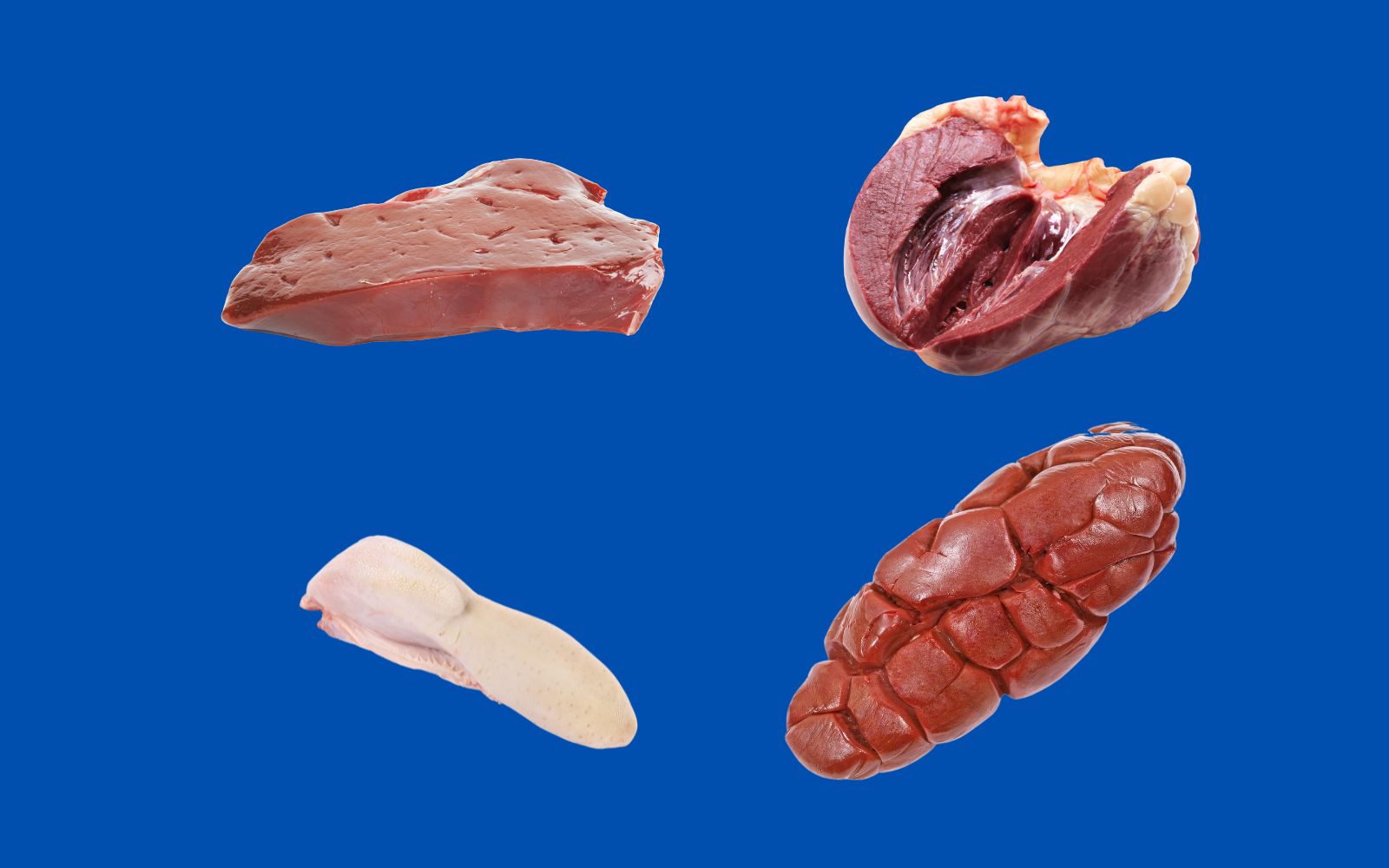 Examples of organ meats